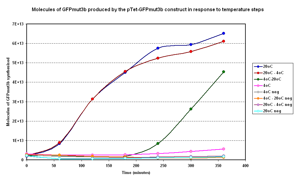 Fig 1.1:Average fluorescence over time for two samples at constant temperatures of 4&degC and 20°C and two with a temperature step (4-20°C and 20-4°C)