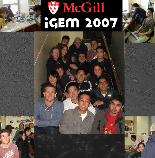 McGillIgem2007team.jpg