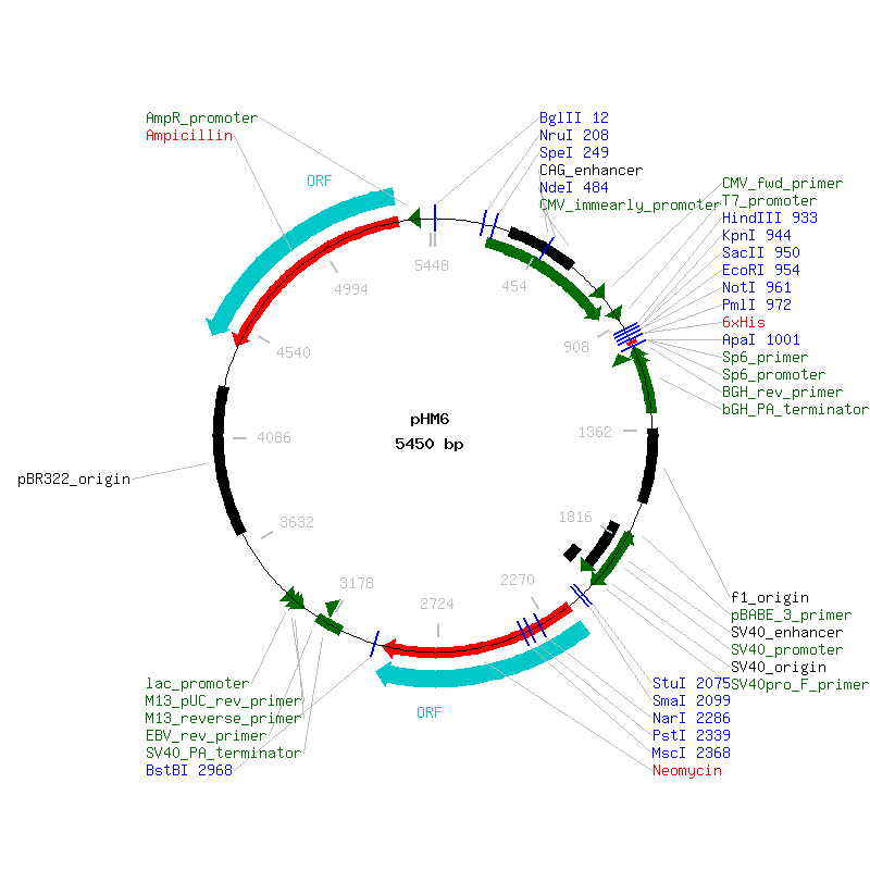 PHM6 map.gif