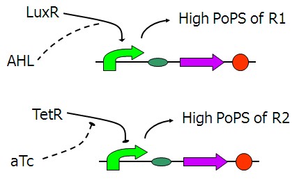 Figure 1 Design of PoPS converters.