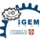 Cambridge 2007 logo.png