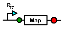 Berk-Figure-Map.png