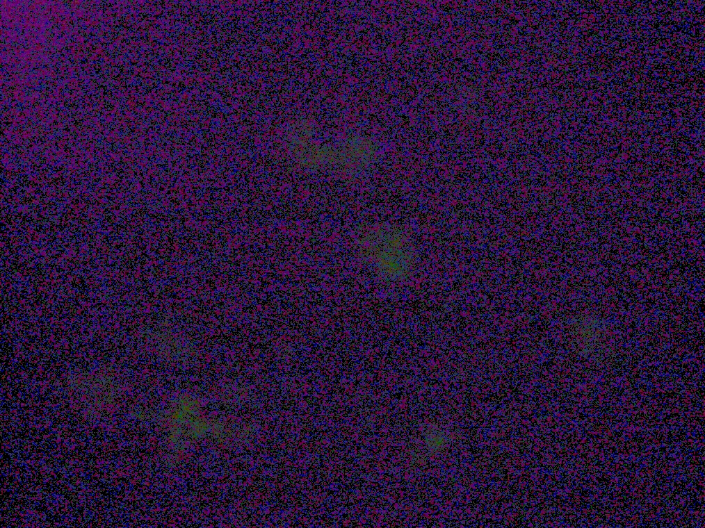 IC07 image144b.jpg