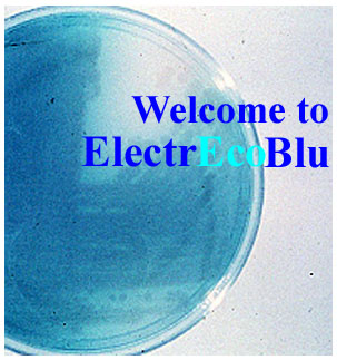 ElectrEcoBlu.jpg