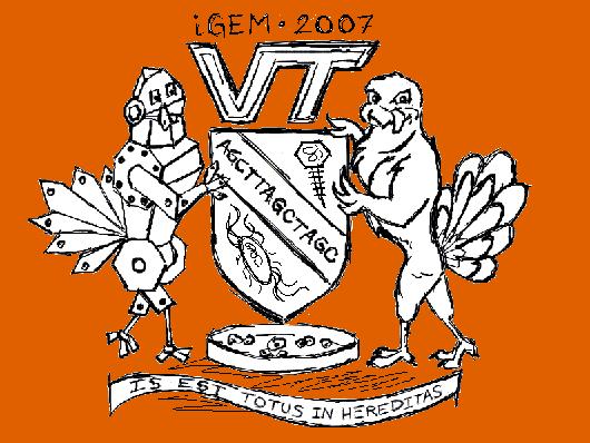 Virginia Tech iGEM 2007
