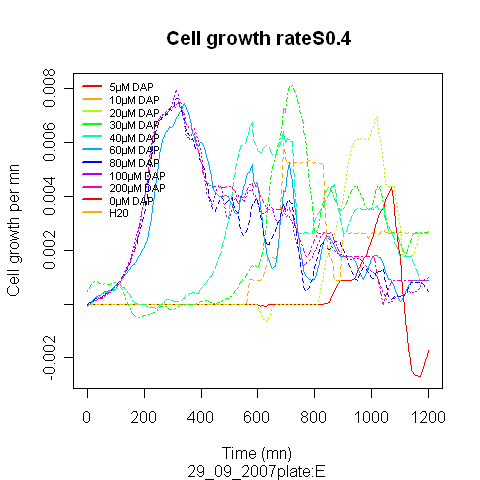 29 09 2007 E growth rate.png