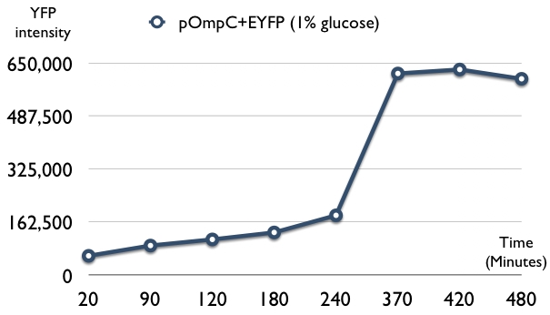 POmpC-EYFP test2.jpg