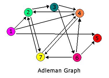 AdlemanGraph.jpg