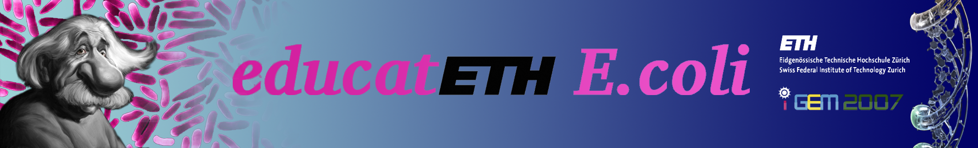 ETH banner.png