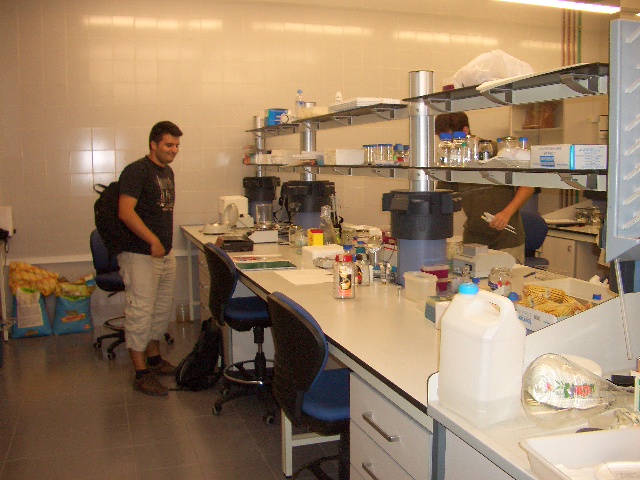 Valencia/Life in the lab