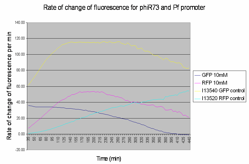 Rate of change of fluorescence for phiR73 and Pf promoter 10mM.png
