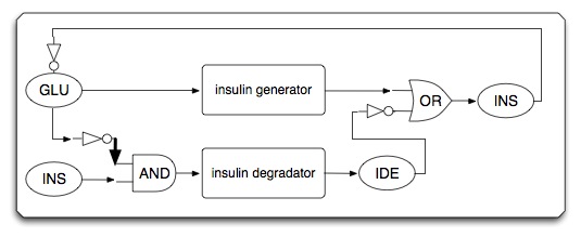 IGEM2007 insulin circuit diagram.png
