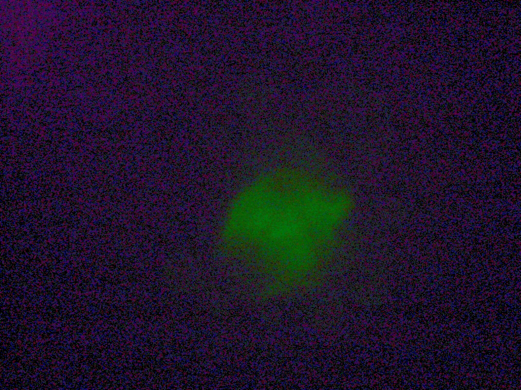 IC07 image157b.jpg