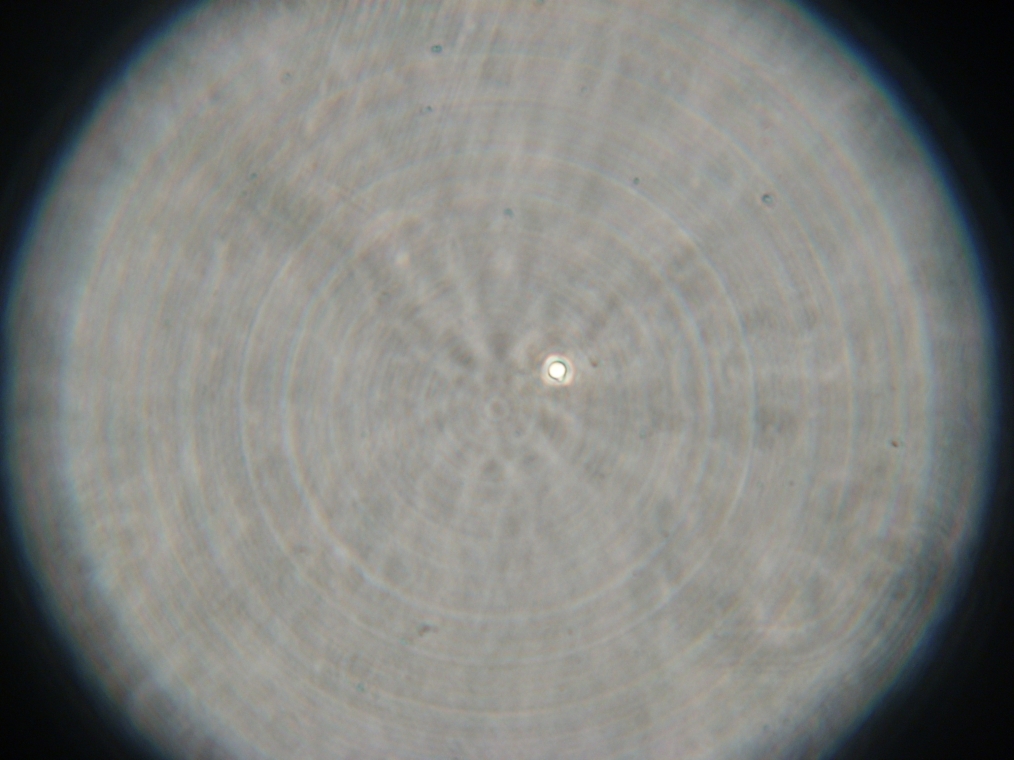 IC07 image180.jpg