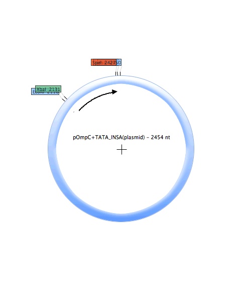 POmpC-TATA INSA (plasmid).jpg
